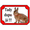 Cedulka králík zakrslý rex oranžový