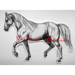 Samolepka kůň shagya arab