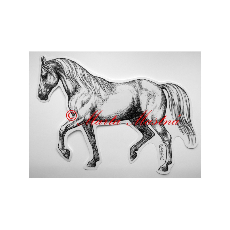 Samolepka kůň shagya arab