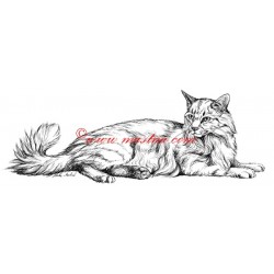 Samolepka kočka dlouhosrstá, turecká ankara
