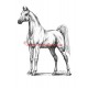 Samolepka arab, kůň, koně