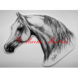 Samolepka kůň arabský