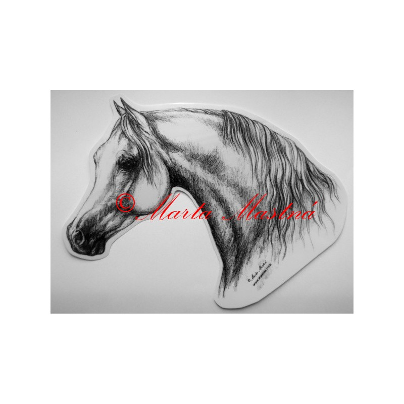 Samolepka kůň arabský
