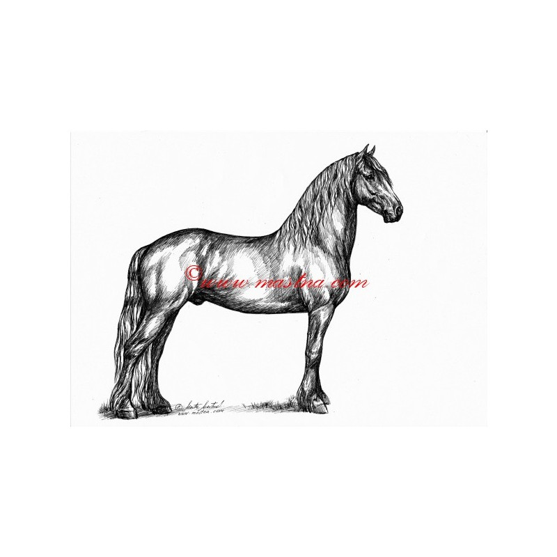 Samolepka fríský kůň, koně