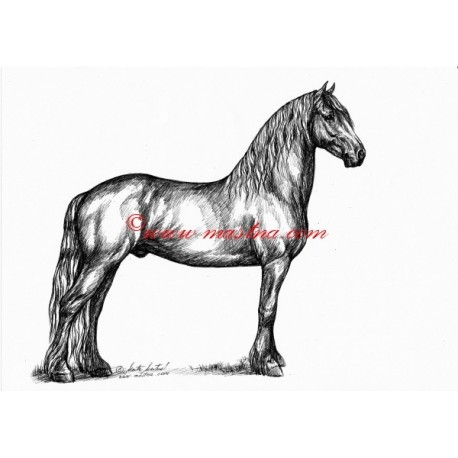 Samolepka fríský kůň, koně