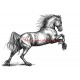 Samolepka fríský kůň, koně