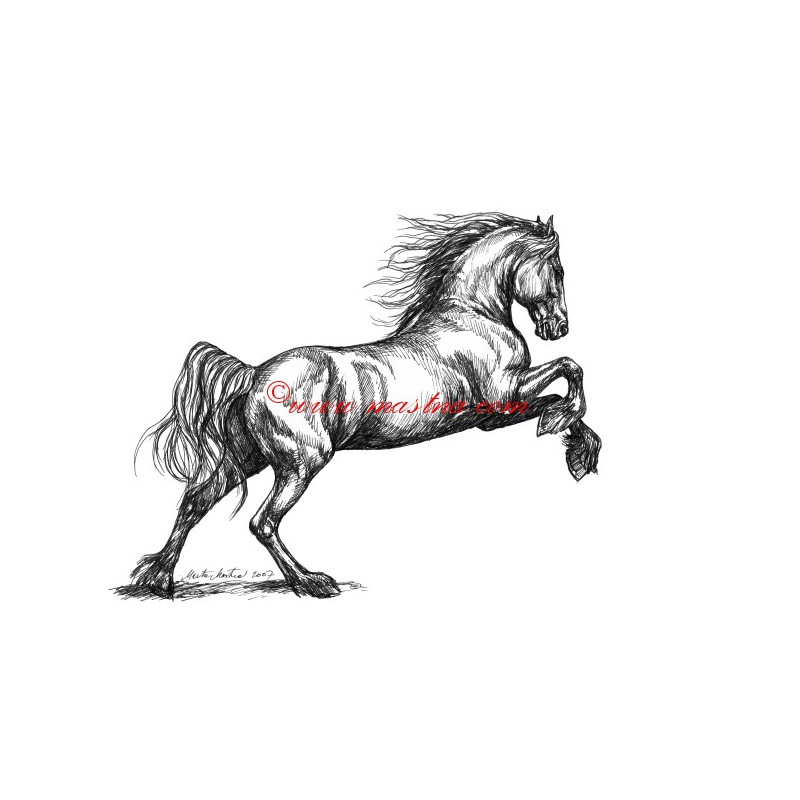 Samolepka fríský kůň, koně