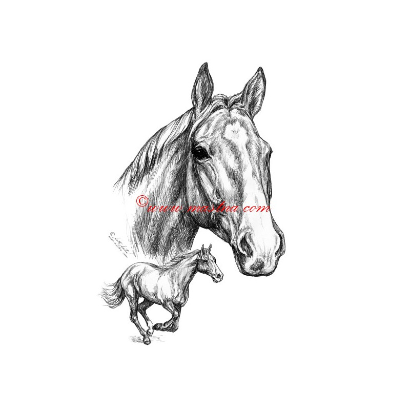 Samolepka Sagar, kůň, koně