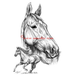 Samolepka Železník, kůň, koně