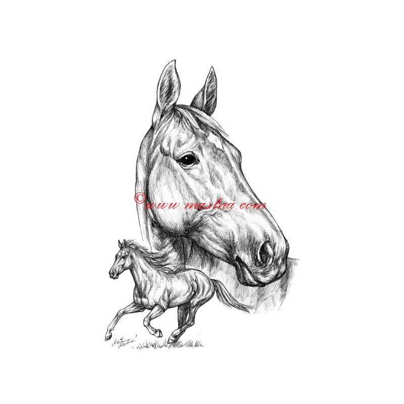 Samolepka Železník, kůň, koně