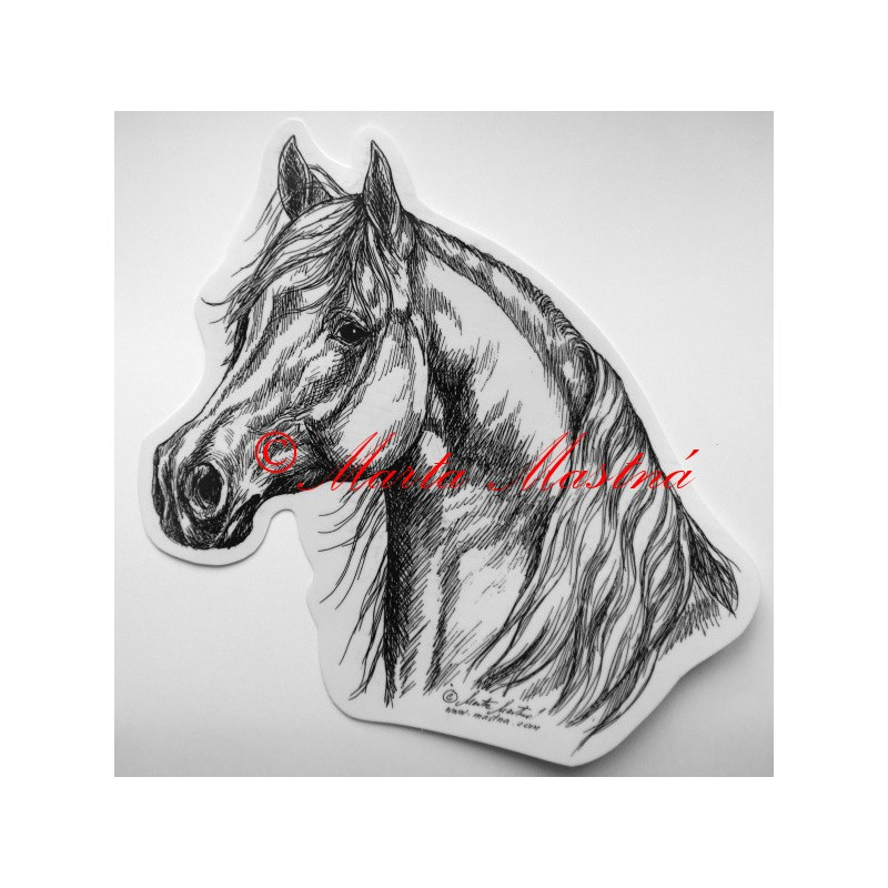 Samolepka kůň