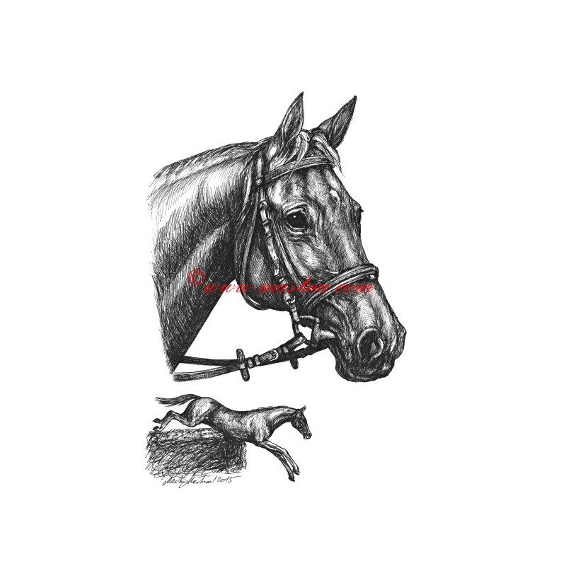 Samolepka Registana, anglický plnokrevník, kůň, koně