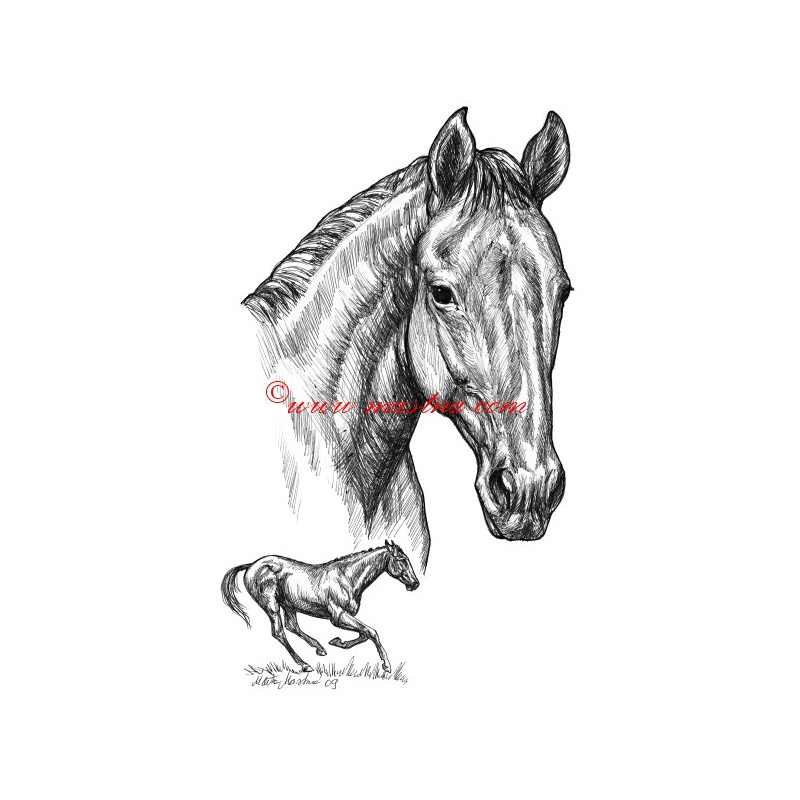 Samolepka Peruán, anglický plnokrevník, kůň, koně