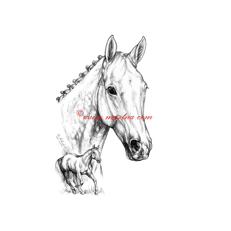 Samolepka Sixteen, anglický plnokrevník, kůň, koně