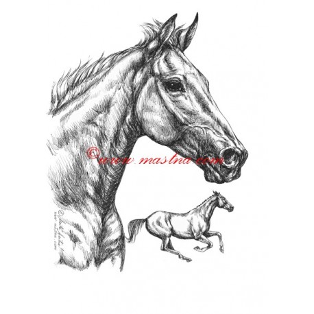 Samolepka Orphee des Blins, kůň, koně