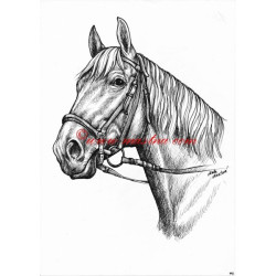 Samolepka velkopolský kůň, koně