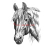 Samolepka teplokrevník, kůň, koně