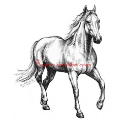 Samolepka Filippi, kůň, koně