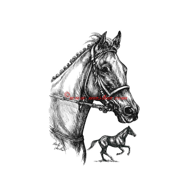 Samolepka Tiumen, anglický plnokrevník, kůň, koně