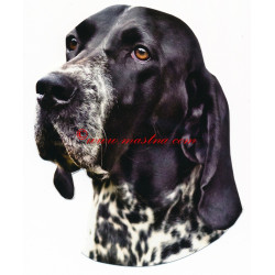 Samolepka auvergneský ohař