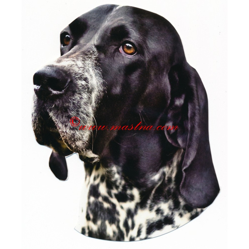 Samolepka auvergneský ohař