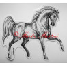 Samolepka kůň