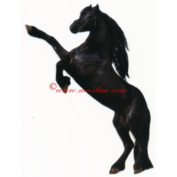 Samolepka fríský hřebec, koně