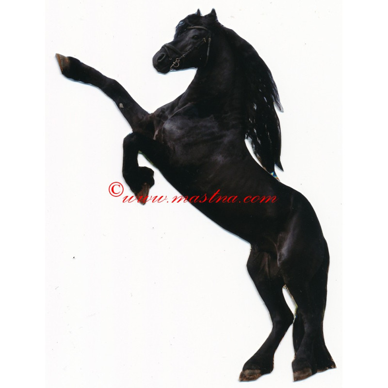 Samolepka fríský hřebec, koně