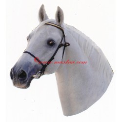 Samolepka lipicán Darius, koně