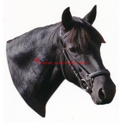 Samolepka huculský kůň, koně