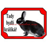 Cedulka králík bílopesíkatý