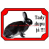 Cedulka králík bílopesíkatý