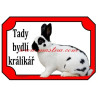 Cedulka králík český strakáč