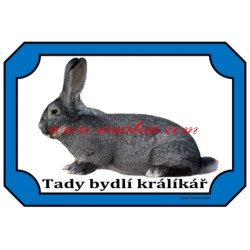 Cedulka králík činčila velká