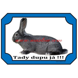 Cedulka králík činčila velká