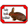 Cedulka králík dailenar