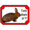 Cedulka králík dailenar