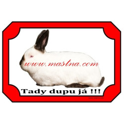 Cedulka králík kalifornský