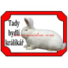 Cedulka králík novozélandský bílý