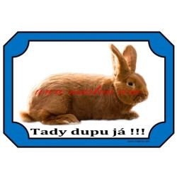 Cedulka králík novozélandský červený