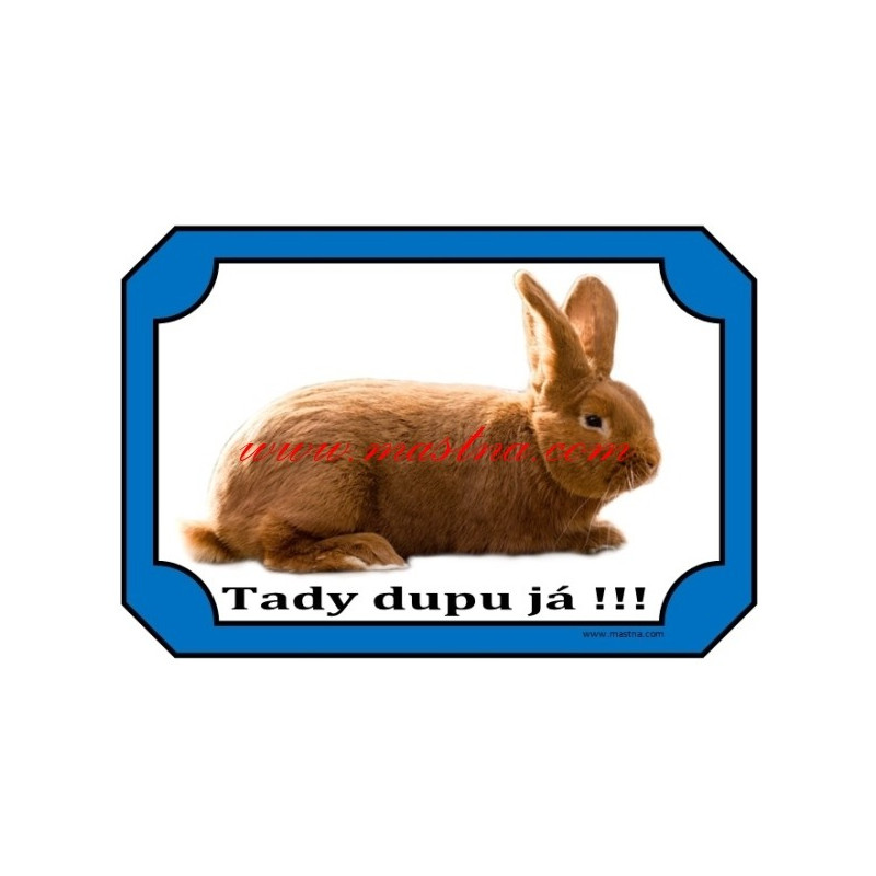 Cedulka králík novozélandský červený