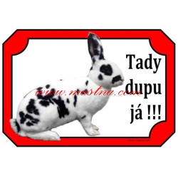 Cedulka králík rex dalmatinský strakáč