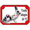 Cedulka králík rex dalmatinský strakáč