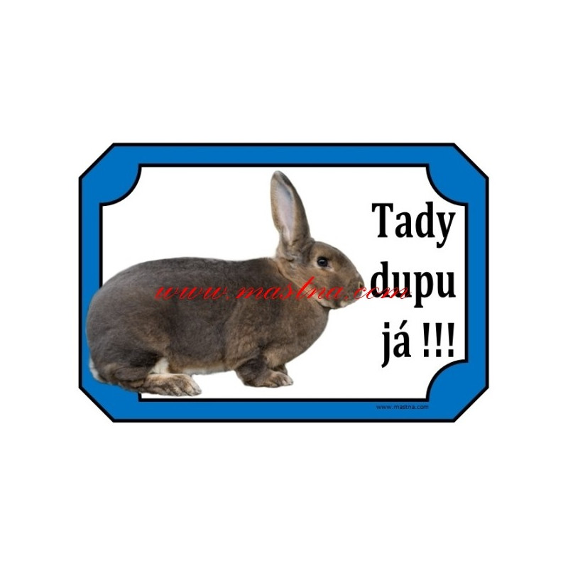 Cedulka králík rex slovenský sivomodrý