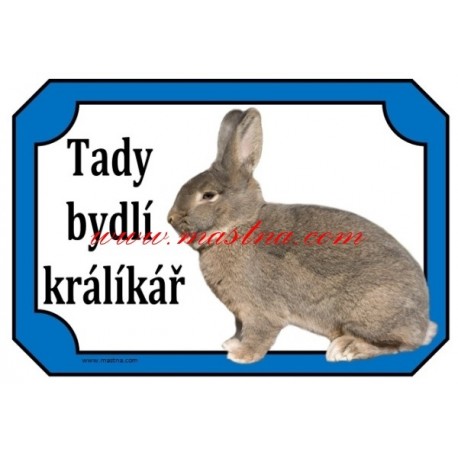 Cedulka králík vídeňský modrošedý