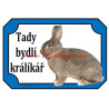 Cedulka králík vídeňský modrošedý