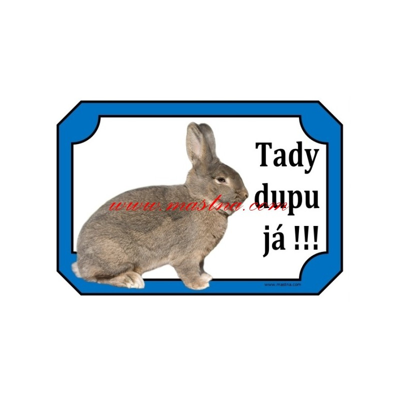 Cedulka králík vídeňský modrošedý