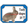 Cedulka králík vídeňský modrošedý