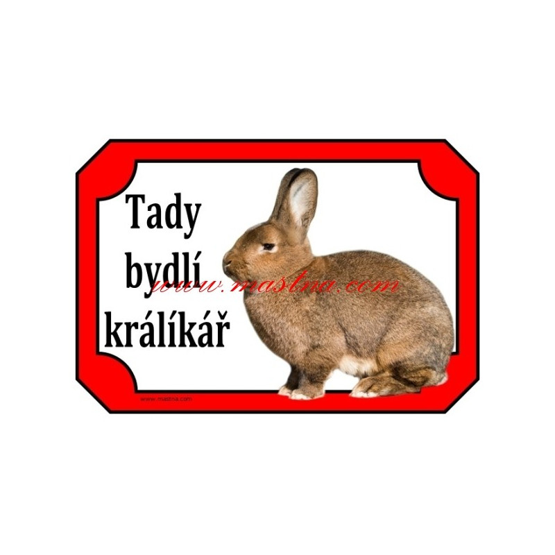 Cedulka králík vídeňský šedý