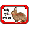 Cedulka králík vídeňský šedý